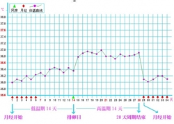 女性排卵期怎么計(jì)算最準(zhǔn)確