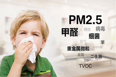 PM2.5