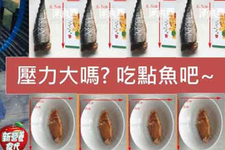 壓力大嗎?營養(yǎng)好推薦吃點魚吧