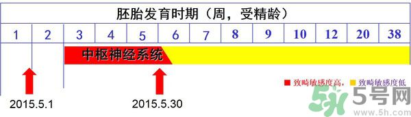 寨卡病毒是不是與基因突變有關(guān)系?