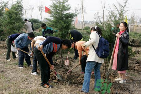 植樹(shù)節(jié)是幾月幾日？植樹(shù)節(jié)可以做些什么活動(dòng)？