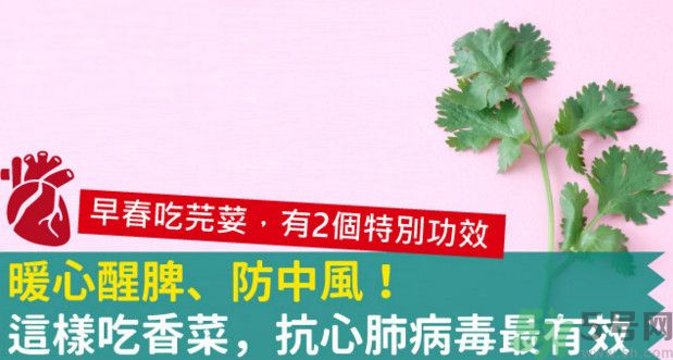 春天吃香菜好嗎？春天吃香菜有什么好處？