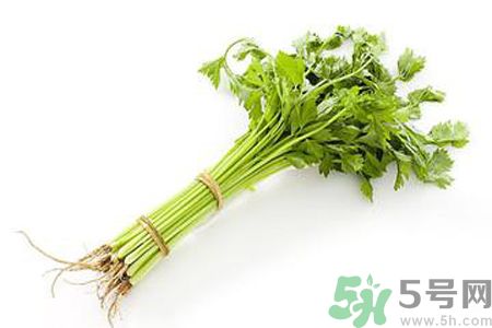 芹菜可以減肥嗎？芹菜有什么功效？