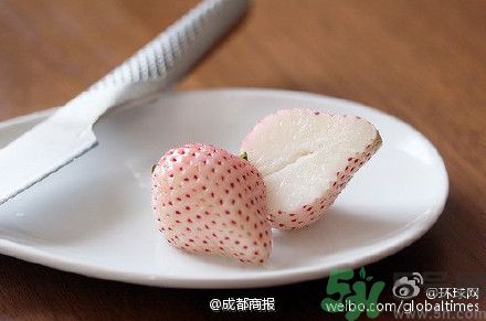 菠蘿莓好吃嗎？菠蘿莓好不好吃？