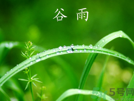 谷雨是什么意思?谷雨節(jié)氣有什么含義?