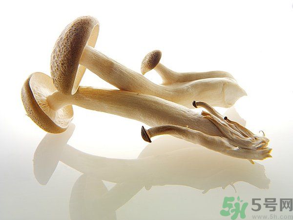 菇類的營養(yǎng)價值有哪些？怎樣挑選優(yōu)質(zhì)的菇類？