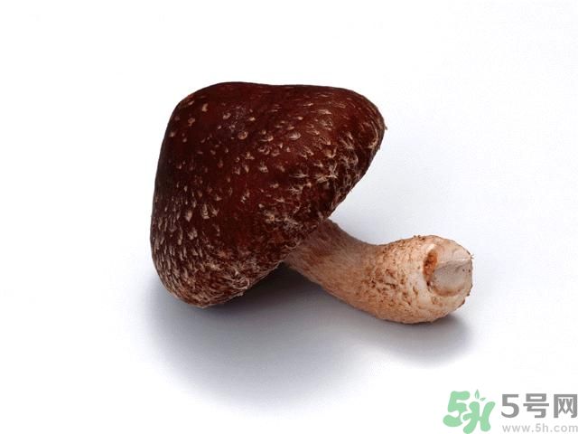 西紅柿發(fā)青可以吃嗎？青西紅柿吃了好不好？