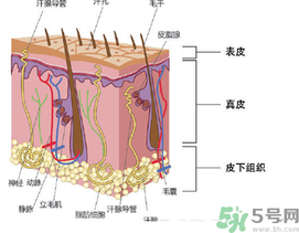 為什么頭發(fā)越來(lái)越油？頭發(fā)應(yīng)該幾天洗一次？