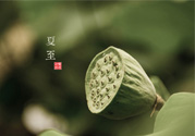 夏至有什么習(xí)俗？夏至吃什么傳統(tǒng)食物？