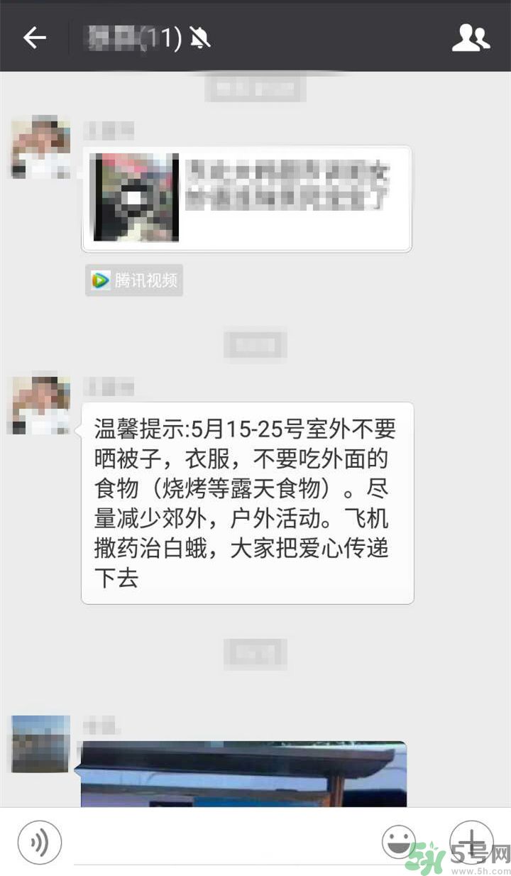 為什么15-25號(hào)不要曬被子？什么是美國白蛾？