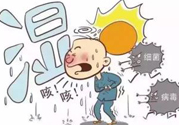 夏季濕氣重怎么辦？夏季祛濕的方法