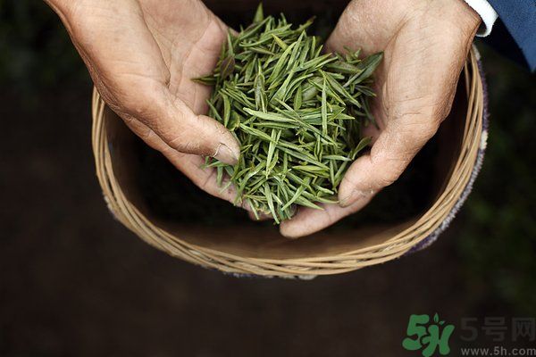 吃魚的時候能喝茶嗎？吃魚可以喝茶嗎？