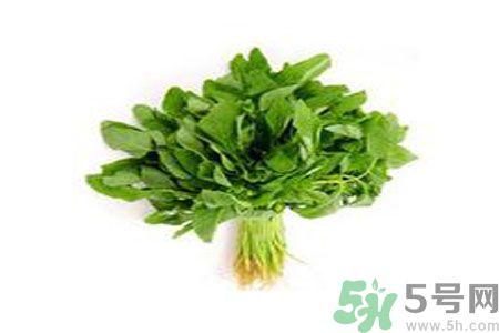 莧菜可以生吃嗎？莧菜生吃了會怎樣？