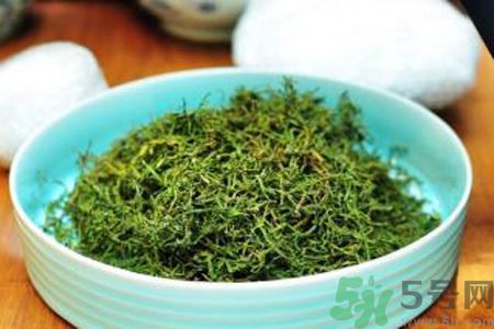 苦菜茶可以和綠茶一起喝嗎？苦菜茶可以和其他茶一起喝嗎？