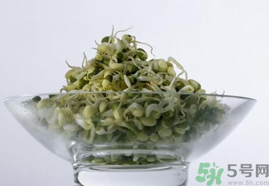 夏天吃綠豆芽可以清火嗎？夏天吃綠豆芽能降火嗎？