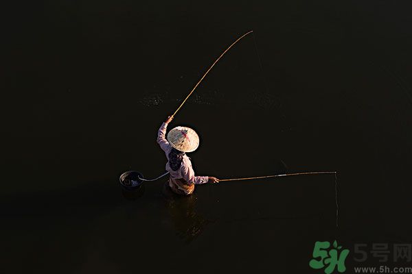 雷陣雨可以釣魚嗎？雷陣雨天氣適合釣魚嗎？