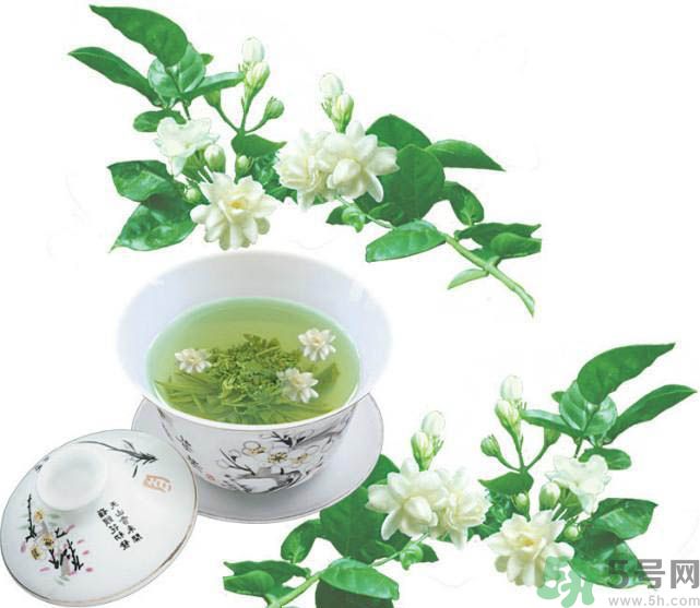 茉莉花茶是熱性還是涼性？茉莉花茶是涼性嗎？