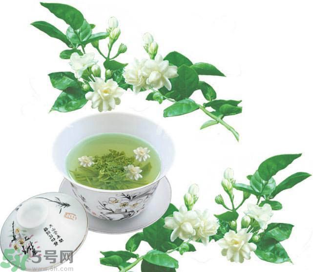 茉莉花茶可以減肥嗎？怎樣喝茉莉花茶可以減肥？