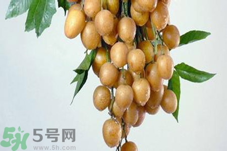 黃皮果是不是發(fā)物？黃皮果是發(fā)物嗎？