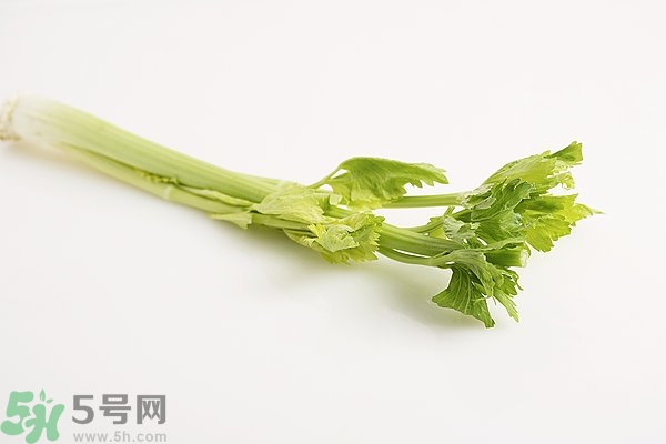 芹菜對(duì)精子有害嗎？芹菜對(duì)精子質(zhì)量有什么影響？