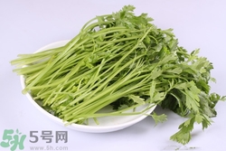 芹菜吃多了有什么壞處?芹菜吃多了有什么影響