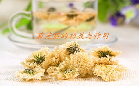 菊花茶有小黑蟲怎么辦 菊花茶有蟲子能喝嗎