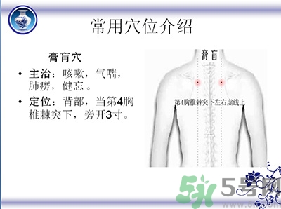 三伏貼可以貼肚臍嗎？三伏貼可以貼肚臍眼嗎？