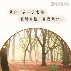 立秋是秋分嗎？立秋和秋分的區(qū)別？