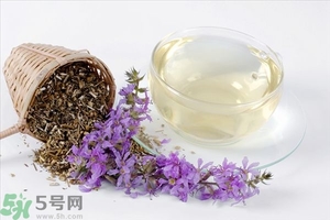 喝菊花茶有有什么好處?菊花茶的功效與作用