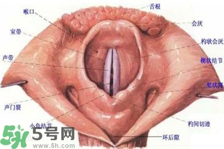 慢性咽炎的發(fā)病因素？慢性咽炎的并發(fā)癥有哪些？