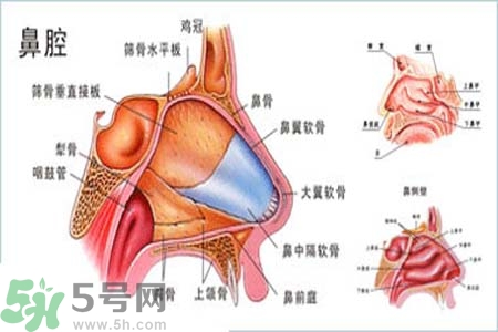 鼻竇炎的護(hù)理措施？鼻竇炎的飲食護(hù)理？