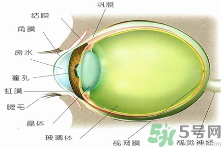 青光眼的治療方法有哪些？青光眼可以哪些藥物治療？