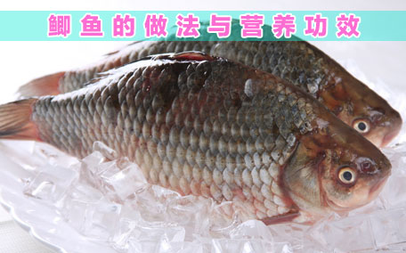 鯽魚