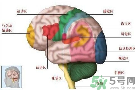 腦出血的發(fā)病因素是什么？腦出血的并發(fā)癥有哪些？