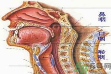 鼻咽癌的治療方法是什么？鼻咽癌可以用什么藥物治療？