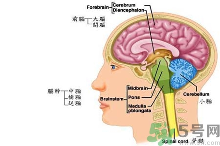 帕金森要注意哪些措施？帕金森的飲食需注意什么？