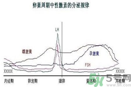 如何分清常見的激素藥？如何正確使用激素類藥物？