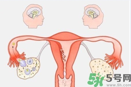 陰道出血癥狀有哪些？陰道出血需注意什么問題？