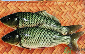 魚(yú)皮的營(yíng)養(yǎng)價(jià)值 魚(yú)皮的食用功效