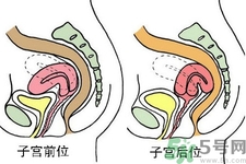 ?子宮移位怎么治療？子宮移位能懷孕嗎？