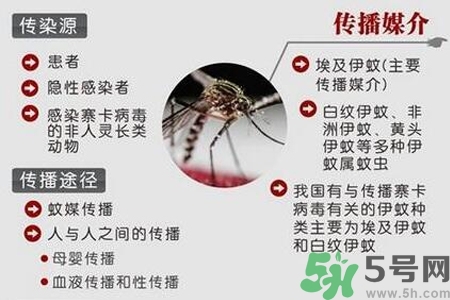 寨卡病毒會死人嗎？寨卡病毒會死嗎？