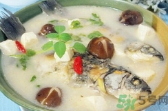 鯽魚(yú)可以和豆腐一起吃嗎?鯽魚(yú)能和豆腐同吃嗎?