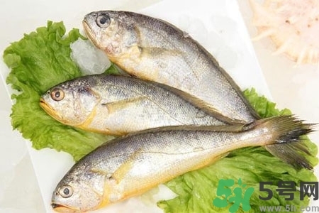 秋季適合吃什么魚？秋季吃魚的好處？