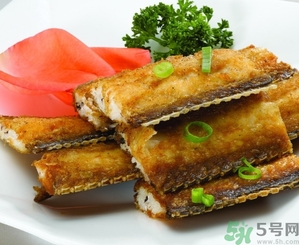 帶魚是發(fā)物嗎？手術(shù)后可以吃帶魚嗎？