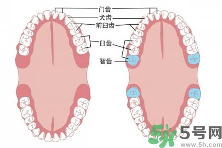 智齒橫著長怎么辦？智齒橫著長一定要拔了嗎？