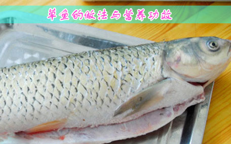 草魚