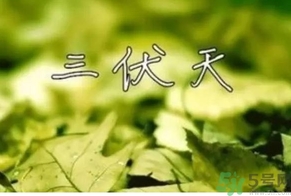 三伏天可以理發(fā)嗎？三伏天為什么不能理發(fā)？