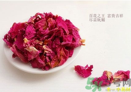 牡丹花可以泡水喝嗎?牡丹花泡水喝有啥好處