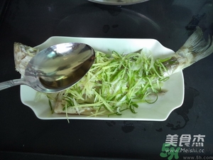 鱸魚蒸多長時間？鱸魚怎么蒸？