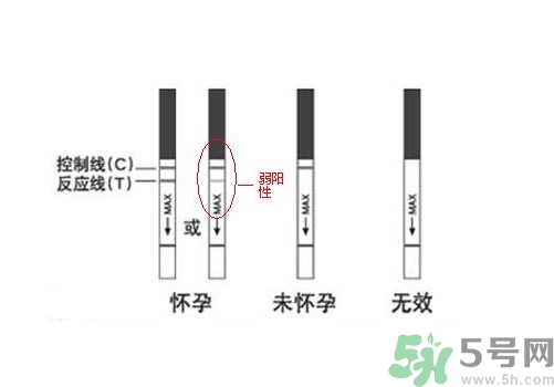 怎么測是否懷孕？早孕試紙怎么用？